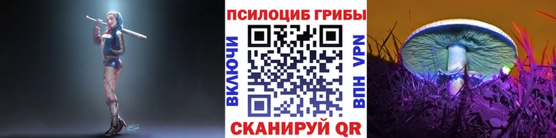 Псилоцибиновые грибы Psilocybe  ОМГ ОМГ ССЫЛКА  Сорск  купить  
