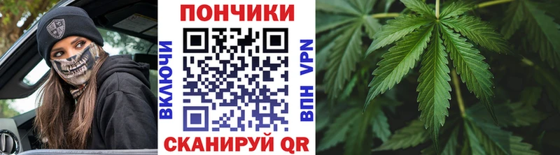 Канабис сатива  купить  сайты  Сорск 